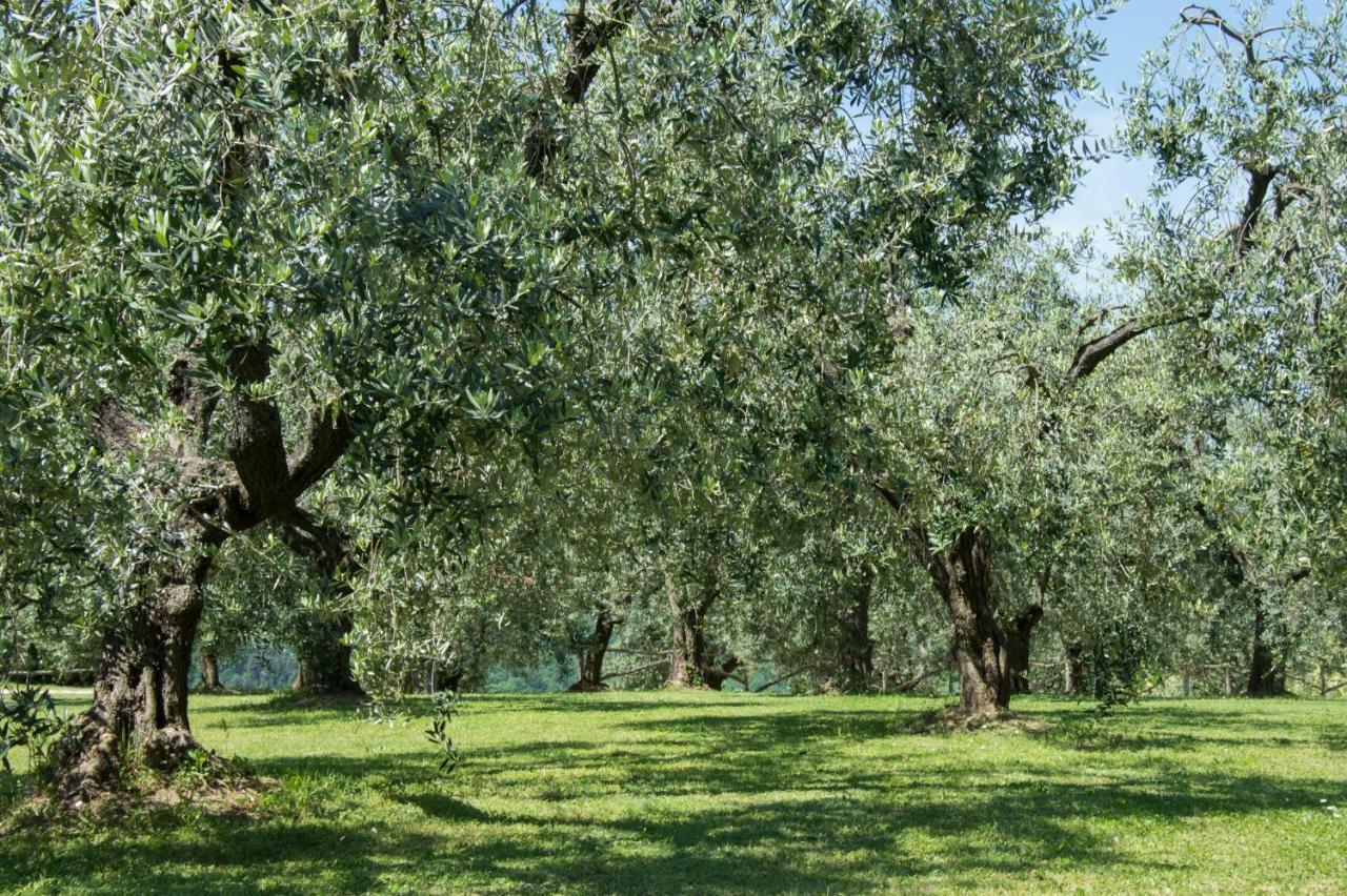 Agriturismo Podere La Casa 팔라야 외부 사진
